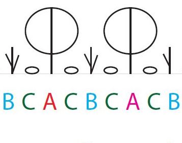 Schema mengcultuur